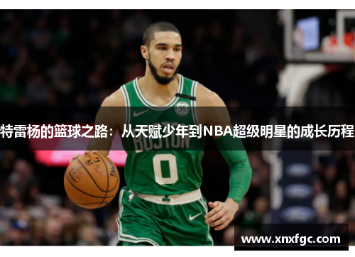 特雷杨的篮球之路：从天赋少年到NBA超级明星的成长历程