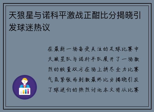 天狼星与诺科平激战正酣比分揭晓引发球迷热议