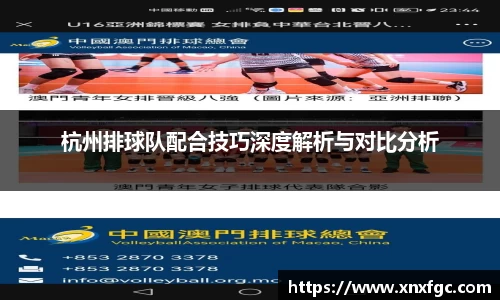 杭州排球队配合技巧深度解析与对比分析